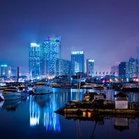 【法润青岛】手术刀下的“毛孩子”之殇——关于《民法典》第1183条的案例解读